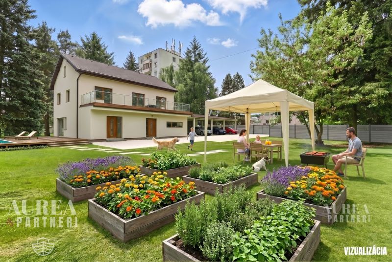 kovacova vizual 1(1).jpg